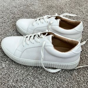 Steve Madden white sneakers